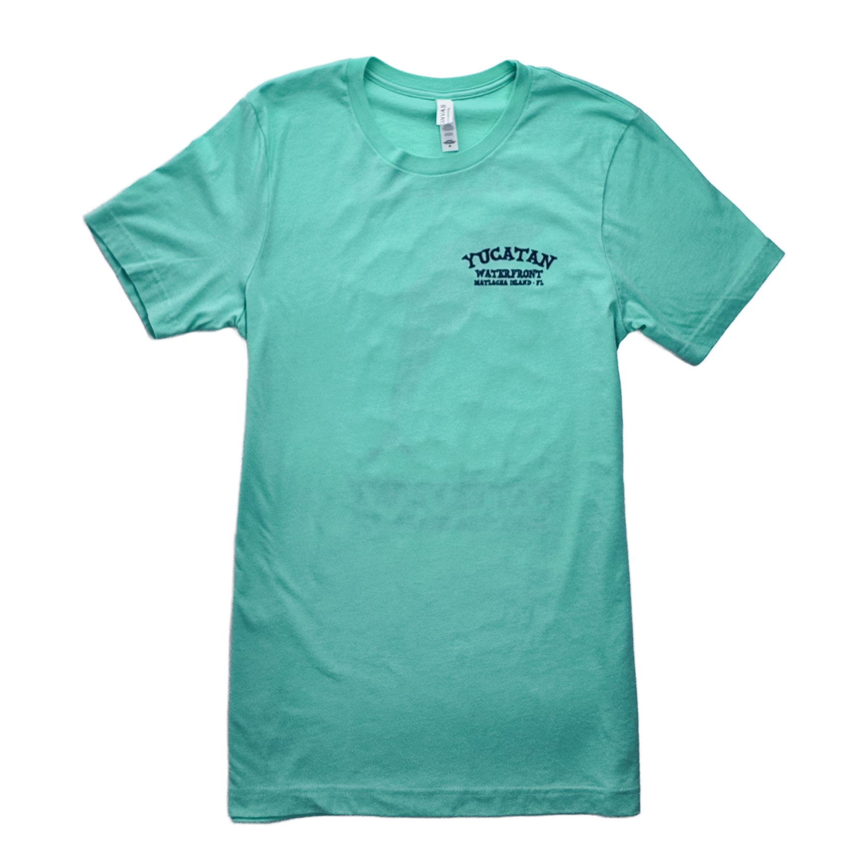 Ladies - Dolphin - Aqua Green - T-shirt